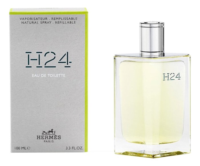Hermes H24 100 мл (EURO) Sale